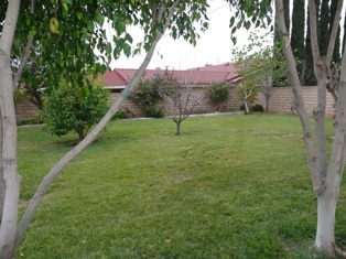 Yard (Angle 1)